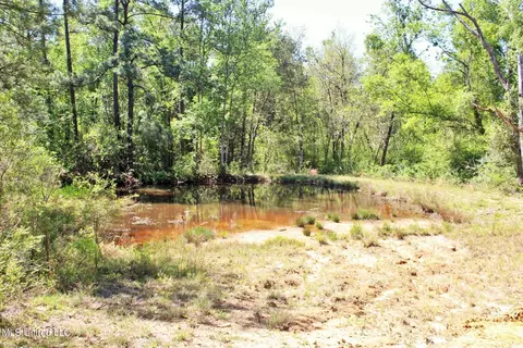 View/Area - 130 Donovan Rd, Lucedale, MS 39452 photo 1 of 4