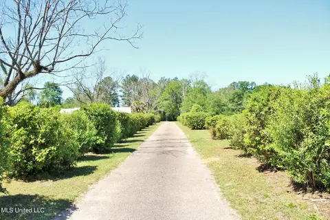 Other - 130 Donovan Rd, Lucedale, MS 39452 photo 6 of 6