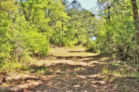 Exterior - 130 Donovan Rd, Lucedale, MS 39452 photo 7 of 11