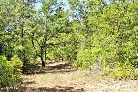 View/Area - 130 Donovan Rd, Lucedale, MS 39452 photo 2 of 4