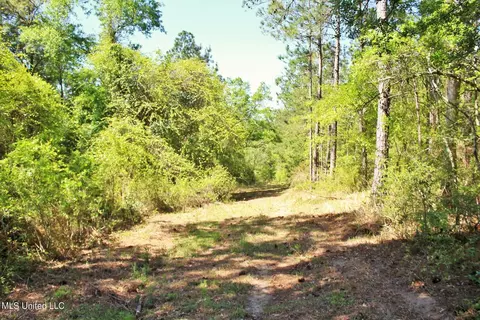 Exterior - 130 Donovan Rd, Lucedale, MS 39452 photo 8 of 11