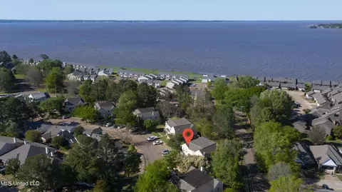 View/Area - 859 Harbor Bend Dr, Brandon, MS 39047 photo 6 of 8