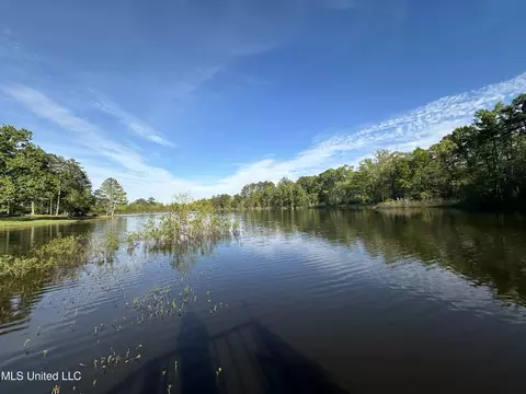 204 C St, Brandon, MS 39042 photo 3