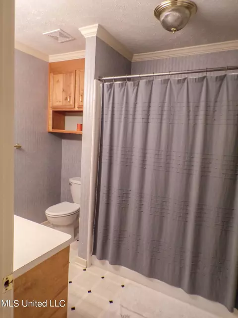 Bath - 249 N Ridge Dr, Madison, MS 39110 photo 3 of 3