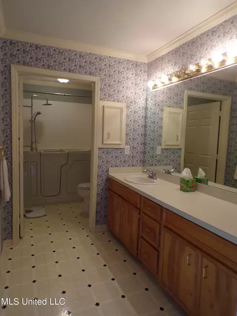 Bath - 249 N Ridge Dr, Madison, MS 39110 photo 1 of 3