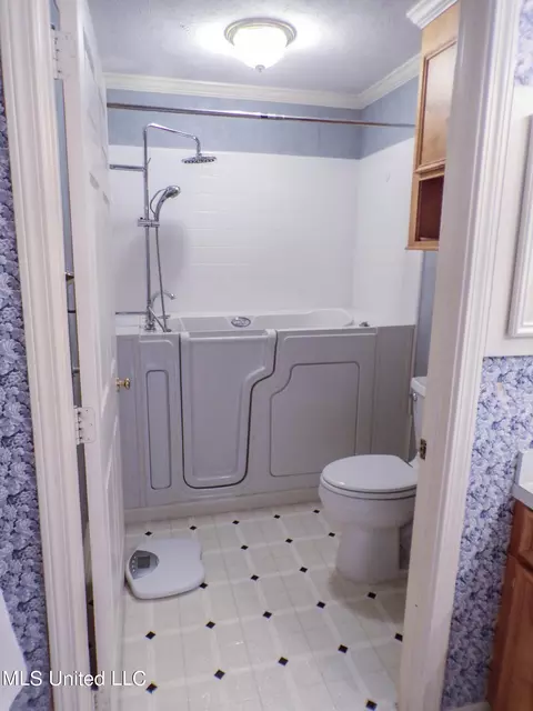 Bath - 249 N Ridge Dr, Madison, MS 39110 photo 2 of 3