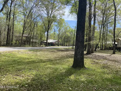 Other - 156 Beaver Dam Dr, Lucedale, MS 39452 photo 5 of 6