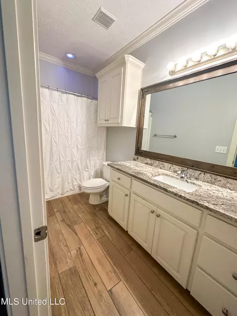 Bath - 115 Timbercrest Ln, Brandon, MS 39047 photo 3 of 8