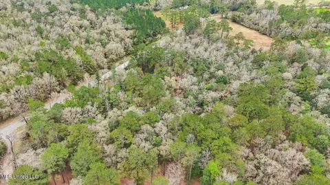 View/Area - 1208 Barton Agricola Rd, Lucedale, MS 39452 photo 19 of 21