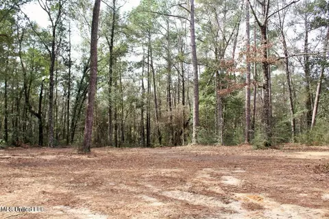 Exterior - 1208 Barton Agricola Rd, Lucedale, MS 39452 photo 7 of 15
