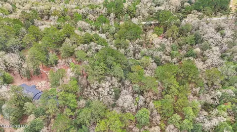 View/Area - 1208 Barton Agricola Rd, Lucedale, MS 39452 photo 18 of 21