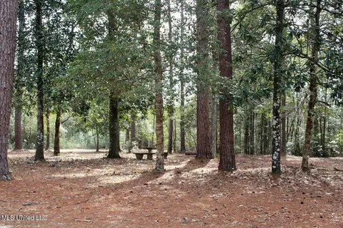 View/Area - 1208 Barton Agricola Rd, Lucedale, MS 39452 photo 3 of 21