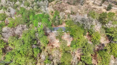 View/Area - 1208 Barton Agricola Rd, Lucedale, MS 39452 photo 5 of 21