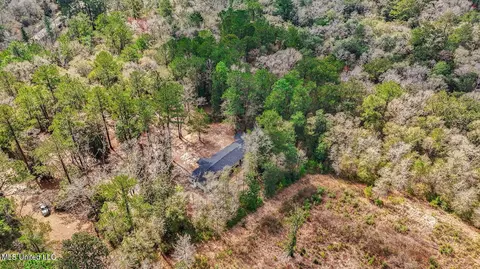 View/Area - 1208 Barton Agricola Rd, Lucedale, MS 39452 photo 10 of 21