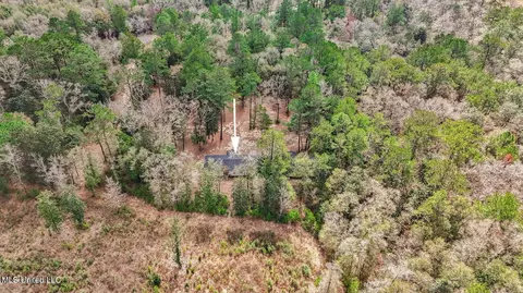 View/Area - 1208 Barton Agricola Rd, Lucedale, MS 39452 photo 9 of 21