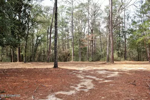 Exterior - 1208 Barton Agricola Rd, Lucedale, MS 39452 photo 8 of 15