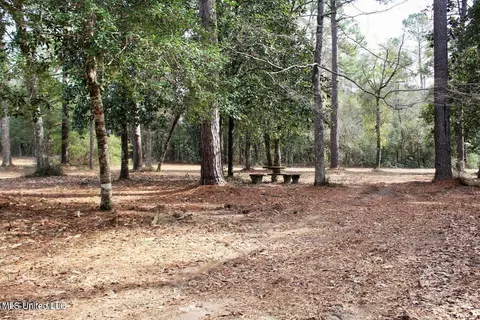 View/Area - 1208 Barton Agricola Rd, Lucedale, MS 39452 photo 1 of 21