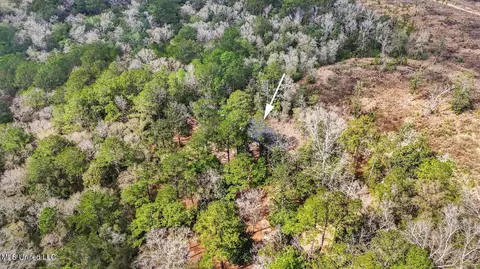 View/Area - 1208 Barton Agricola Rd, Lucedale, MS 39452 photo 12 of 21