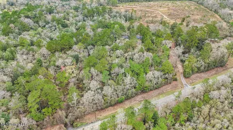 View/Area - 1208 Barton Agricola Rd, Lucedale, MS 39452 photo 14 of 21