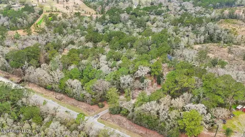 View/Area - 1208 Barton Agricola Rd, Lucedale, MS 39452 photo 21 of 21