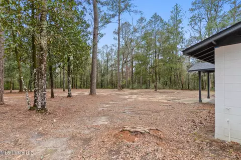View/Area - 1208 Barton Agricola Rd, Lucedale, MS 39452 photo 13 of 21
