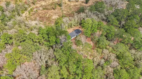 View/Area - 1208 Barton Agricola Rd, Lucedale, MS 39452 photo 6 of 21