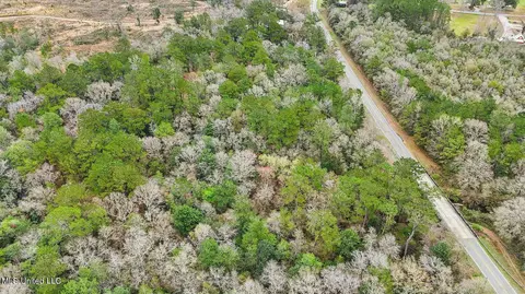 View/Area - 1208 Barton Agricola Rd, Lucedale, MS 39452 photo 16 of 21