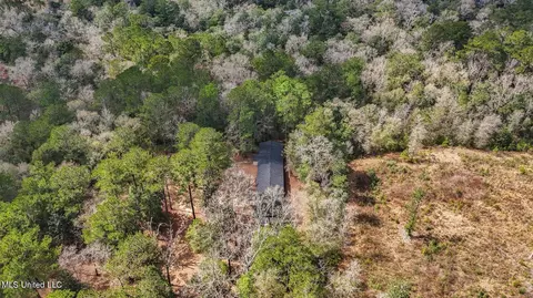 View/Area - 1208 Barton Agricola Rd, Lucedale, MS 39452 photo 11 of 21