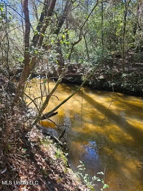 Other - 1208 Barton Agricola Rd, Lucedale, MS 39452 photo 9 of 10