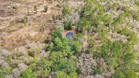 View/Area - 1208 Barton Agricola Rd, Lucedale, MS 39452 photo 7 of 21