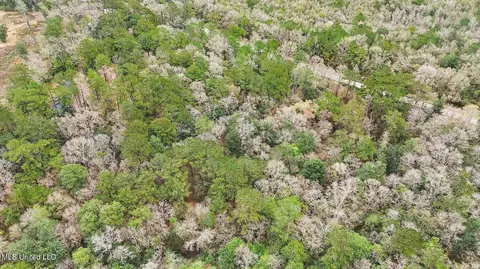 View/Area - 1208 Barton Agricola Rd, Lucedale, MS 39452 photo 17 of 21