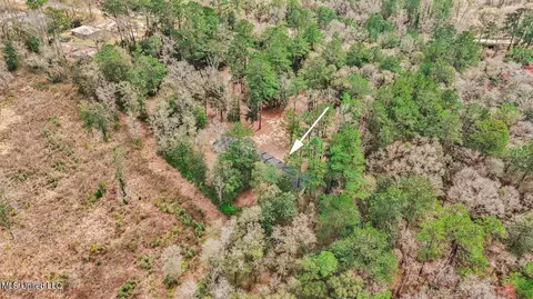 View/Area - 1208 Barton Agricola Rd, Lucedale, MS 39452 photo 8 of 21