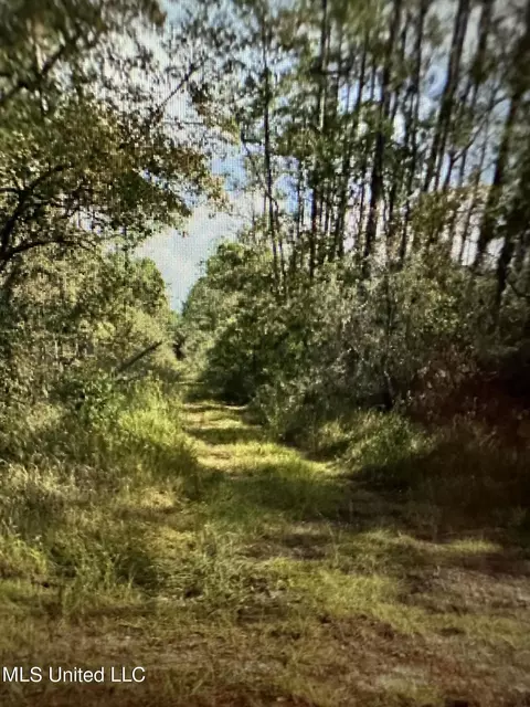 Orange Grove Road, Moss Point, MS 39562
