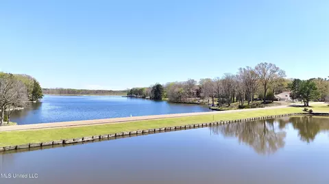 View/Area - 2088 Aspen Dr, Nesbit, MS 38651 photo 1 of 2