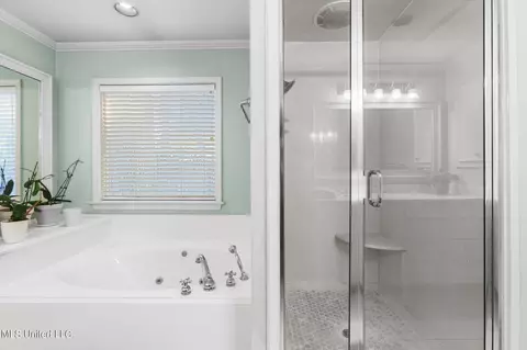 Bath - 1615 Sheffield Dr, Jackson, MS 39211 photo 3 of 4