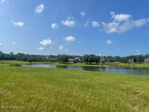 Lot 25 Gracies Way, Lucedale, MS 39452 photo 50