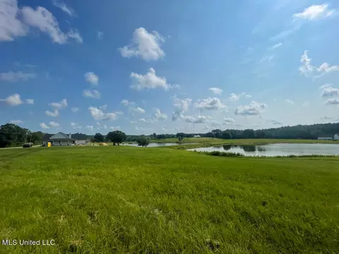 Lot 25 Gracies Way, Lucedale, MS 39452 photo 15