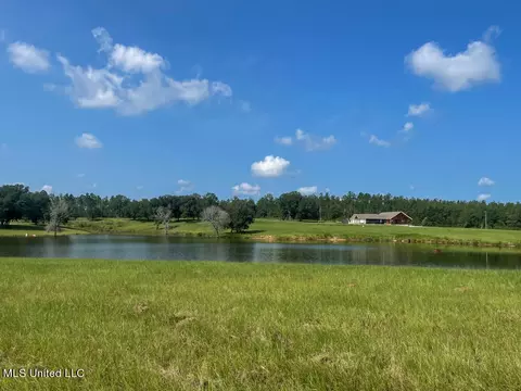 Lot 25 Gracies Way, Lucedale, MS 39452 photo 40