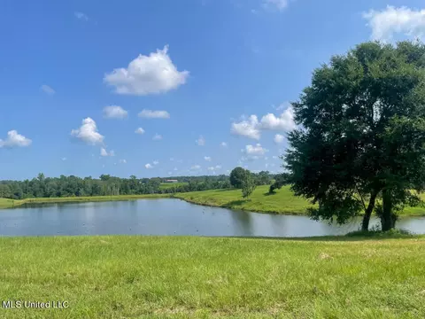 Lot 25 Gracies Way, Lucedale, MS 39452 photo 44