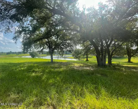 Lot 25 Gracies Way, Lucedale, MS 39452 photo 6