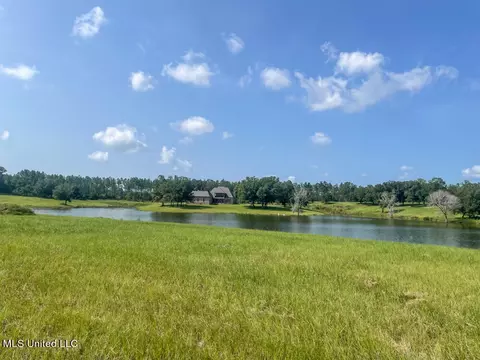 Lot 25 Gracies Way, Lucedale, MS 39452 photo 54