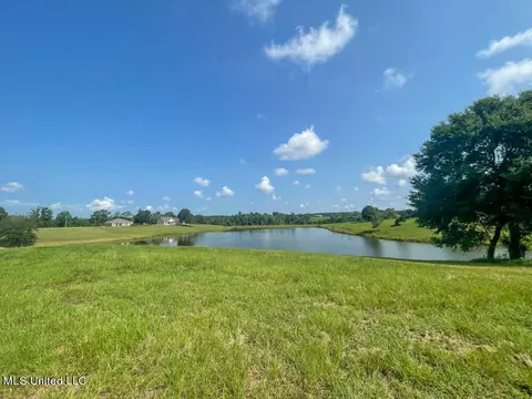 Lot 25 Gracies Way, Lucedale, MS 39452 photo 45