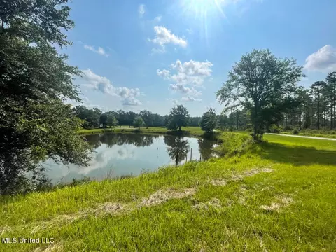 Lot 25 Gracies Way, Lucedale, MS 39452 photo 21