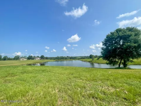 Lot 25 Gracies Way, Lucedale, MS 39452 photo 30