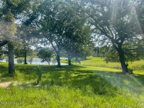 Lot 25 Gracies Way, Lucedale, MS 39452 photo 2