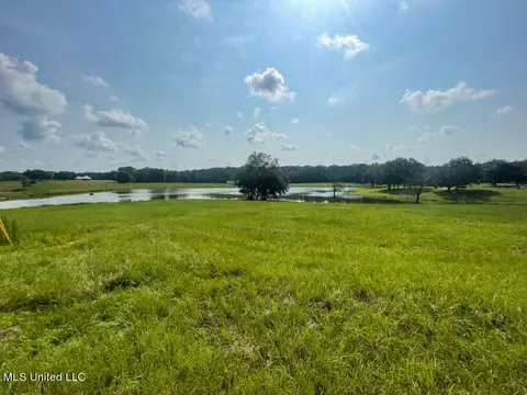 Lot 25 Gracies Way, Lucedale, MS 39452 photo 10