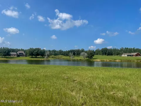 Lot 25 Gracies Way, Lucedale, MS 39452 photo 36