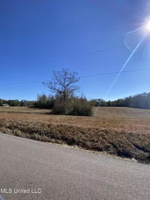 115 Albert Prince Rd, Carriere, MS 39426
