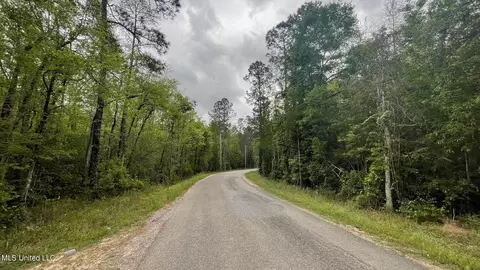 Dogpatch Road, Kiln, MS 39556 photo 8