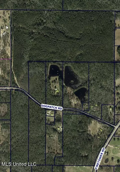 Dogpatch Road, Kiln, MS 39556 photo 2